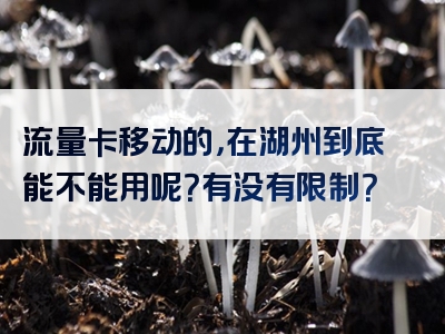 流量卡移动的，在湖州到底能不能用呢？有没有限制？