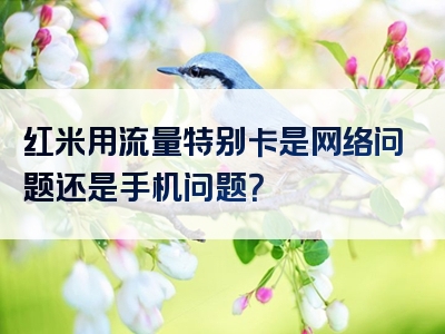红米用流量特别卡是网络问题还是手机问题？