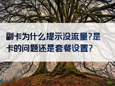 副卡为什么提示没流量？是卡的问题还是套餐设置？