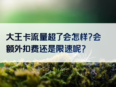 大王卡流量超了会怎样？会额外扣费还是限速呢？