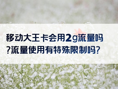 移动大王卡会用2g流量吗？流量使用有特殊限制吗？