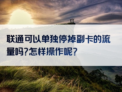 联通可以单独停掉副卡的流量吗？怎样操作呢？
