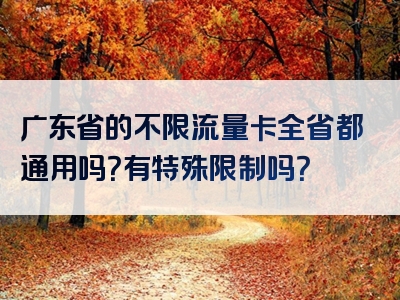 广东省的不限流量卡全省都通用吗？有特殊限制吗？