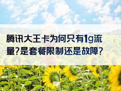 腾讯大王卡为何只有1g流量？是套餐限制还是故障？