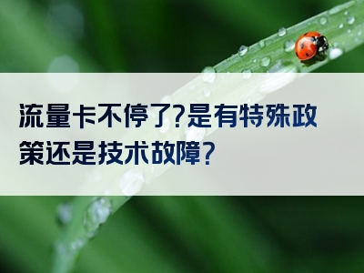 流量卡不停了？是有特殊政策还是技术故障？