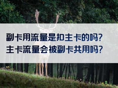 副卡用流量是扣主卡的吗？主卡流量会被副卡共用吗？