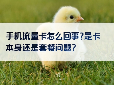 手机流量卡怎么回事？是卡本身还是套餐问题？