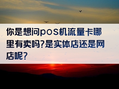 你是想问pos机流量卡哪里有卖吗？是实体店还是网店呢？