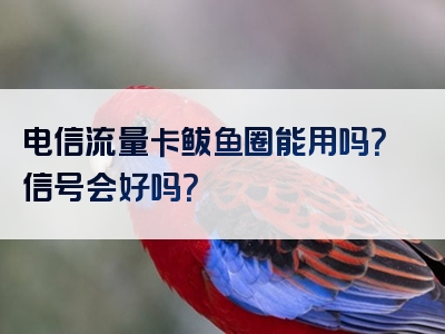 电信流量卡鲅鱼圈能用吗？信号会好吗？