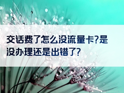 交话费了怎么没流量卡？是没办理还是出错了？
