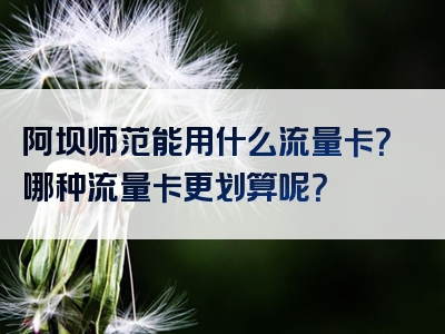 阿坝师范能用什么流量卡？哪种流量卡更划算呢？