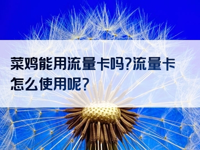 菜鸡能用流量卡吗？流量卡怎么使用呢？