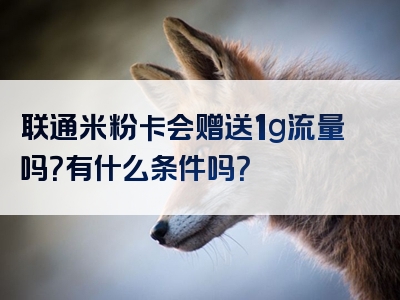 联通米粉卡会赠送1g流量吗？有什么条件吗？