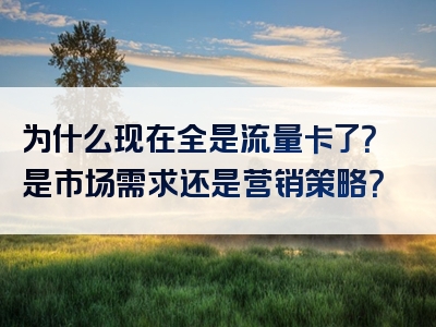 为什么现在全是流量卡了？是市场需求还是营销策略？