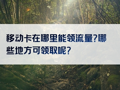 移动卡在哪里能领流量？哪些地方可领取呢？