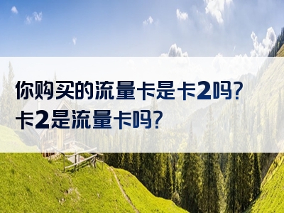 你购买的流量卡是卡2吗？卡2是流量卡吗？