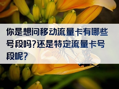 你是想问移动流量卡有哪些号段吗？还是特定流量卡号段呢？