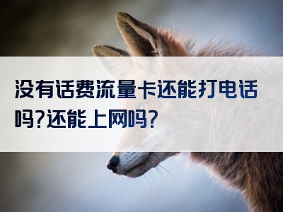 没有话费流量卡还能打电话吗？还能上网吗？