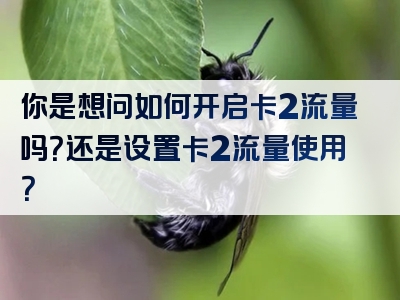 你是想问如何开启卡2流量吗？还是设置卡2流量使用？