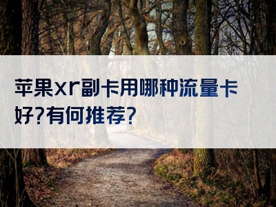 苹果xr副卡用哪种流量卡好？有何推荐？