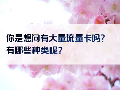 你是想问有大量流量卡吗？有哪些种类呢？