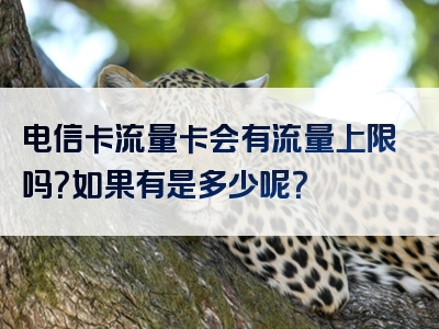 电信卡流量卡会有流量上限吗？如果有是多少呢？