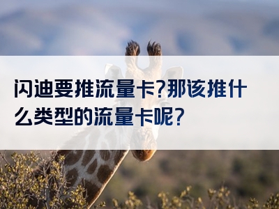 闪迪要推流量卡？那该推什么类型的流量卡呢？