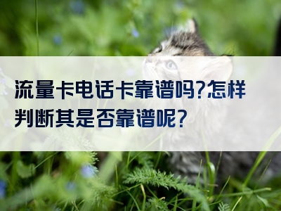 流量卡电话卡靠谱吗？怎样判断其是否靠谱呢？