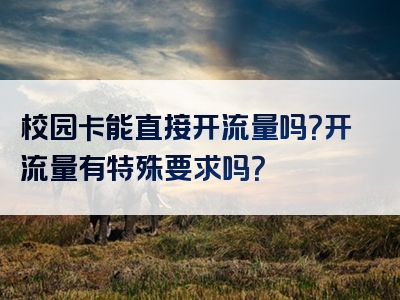 校园卡能直接开流量吗？开流量有特殊要求吗？