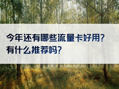 今年还有哪些流量卡好用？有什么推荐吗？