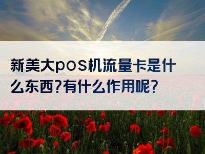 新美大pos机流量卡是什么东西？有什么作用呢？