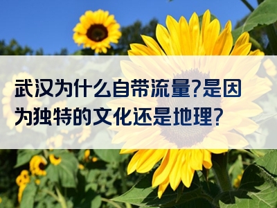武汉为什么自带流量？是因为独特的文化还是地理？