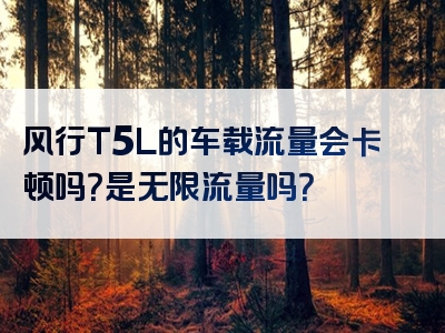 风行T5L的车载流量会卡顿吗？是无限流量吗？