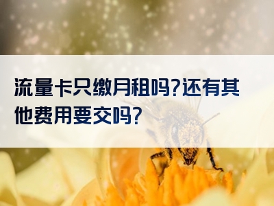 流量卡只缴月租吗？还有其他费用要交吗？