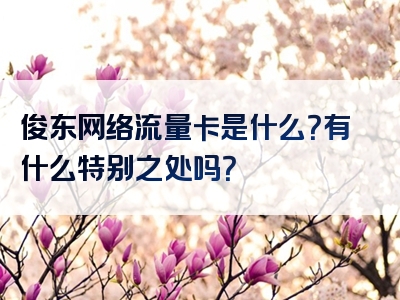 俊东网络流量卡是什么？有什么特别之处吗？