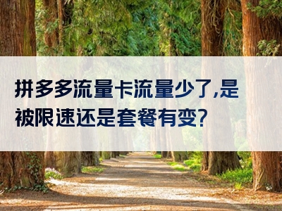 拼多多流量卡流量少了，是被限速还是套餐有变？