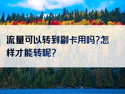 流量可以转到副卡用吗？怎样才能转呢？