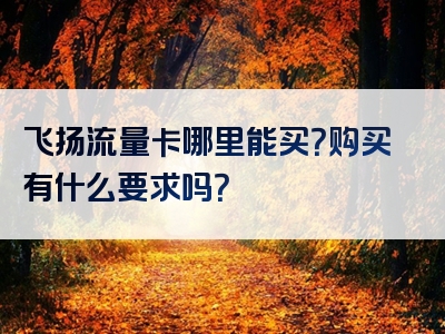 飞扬流量卡哪里能买？购买有什么要求吗？