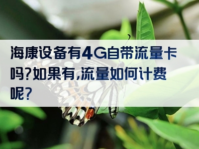 海康设备有4G自带流量卡吗？如果有，流量如何计费呢？