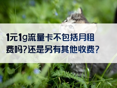 1元1g流量卡不包括月租费吗？还是另有其他收费？