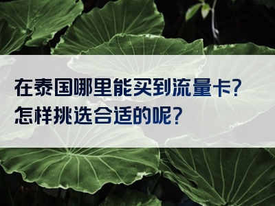 在泰国哪里能买到流量卡？怎样挑选合适的呢？