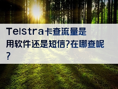 Telstra卡查流量是用软件还是短信？在哪查呢？