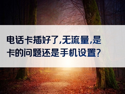 电话卡插好了，无流量，是卡的问题还是手机设置？