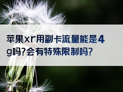 苹果xr用副卡流量能是4g吗？会有特殊限制吗？