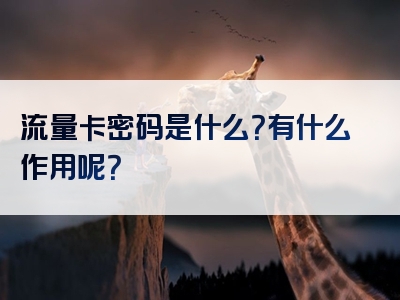 流量卡密码是什么？有什么作用呢？