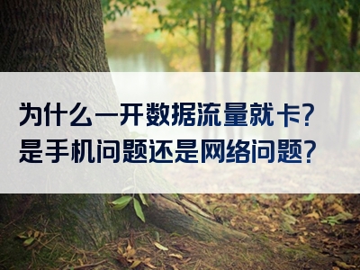 为什么一开数据流量就卡？是手机问题还是网络问题？