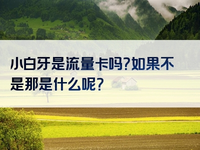 小白牙是流量卡吗？如果不是那是什么呢？