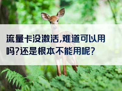 流量卡没激活，难道可以用吗？还是根本不能用呢？