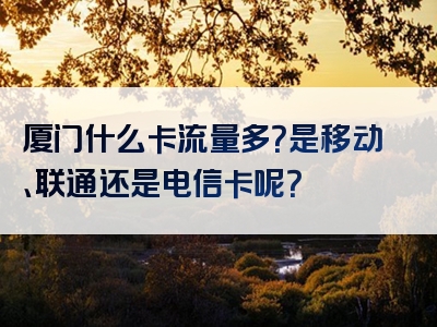 厦门什么卡流量多？是移动、联通还是电信卡呢？