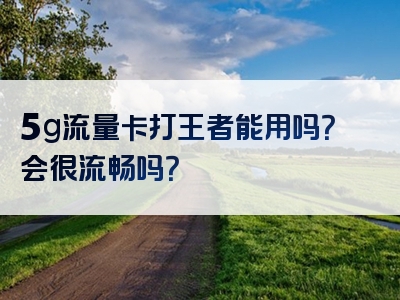 5g流量卡打王者能用吗？会很流畅吗？